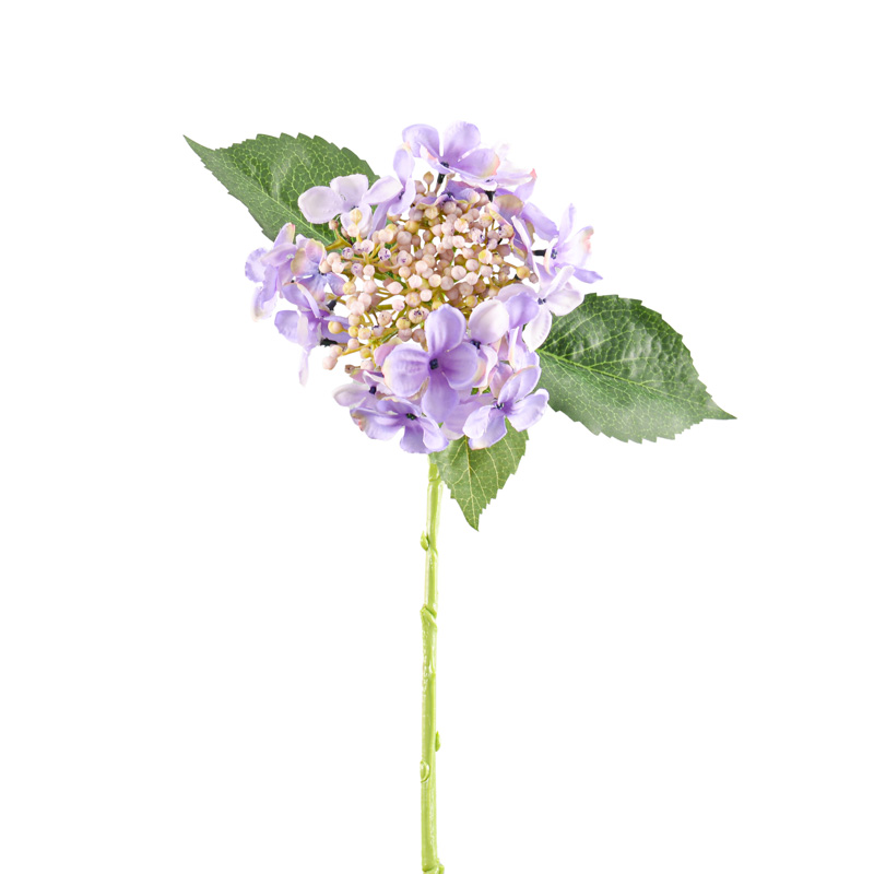 Tige d'hortensia 'Bourgeons'