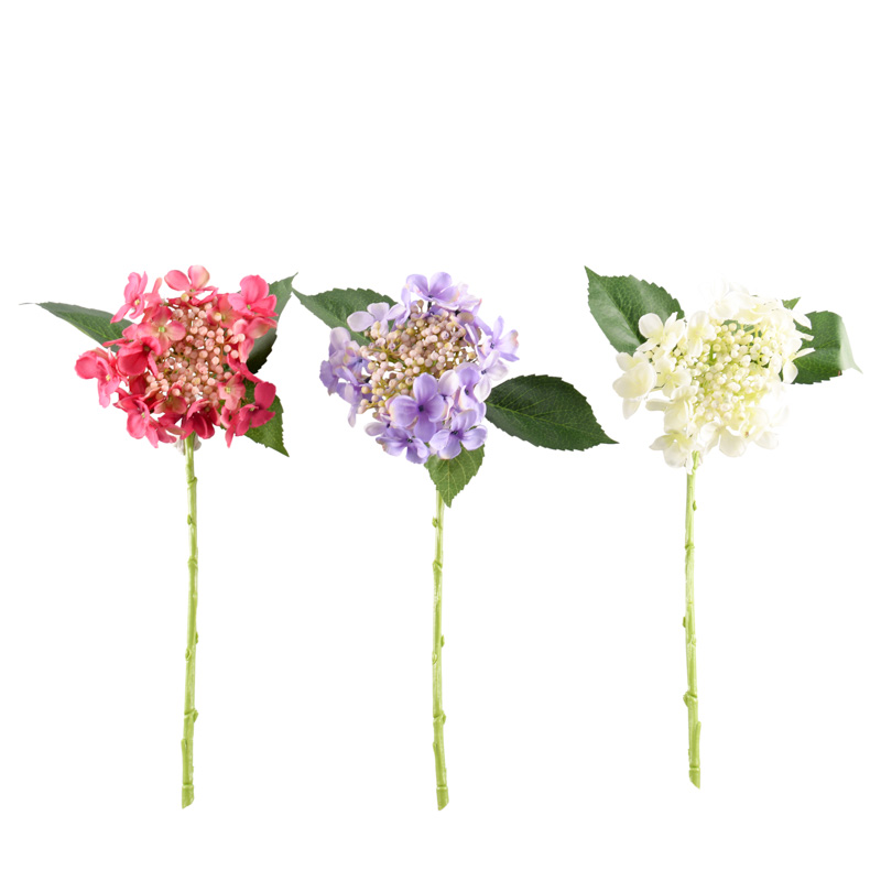 Tige d'hortensia 'Bourgeons'
