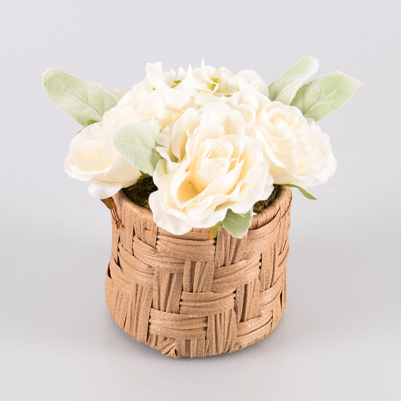 Roses et hortensias en pot