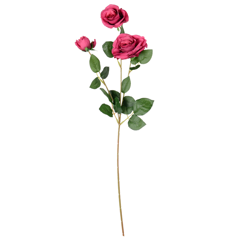 Branche de roses