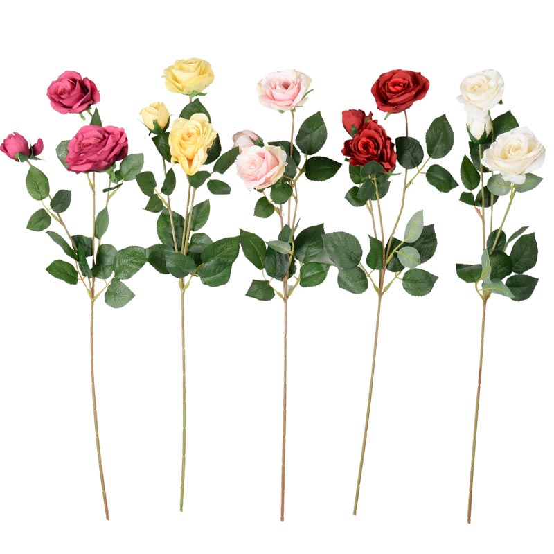 Branche de roses