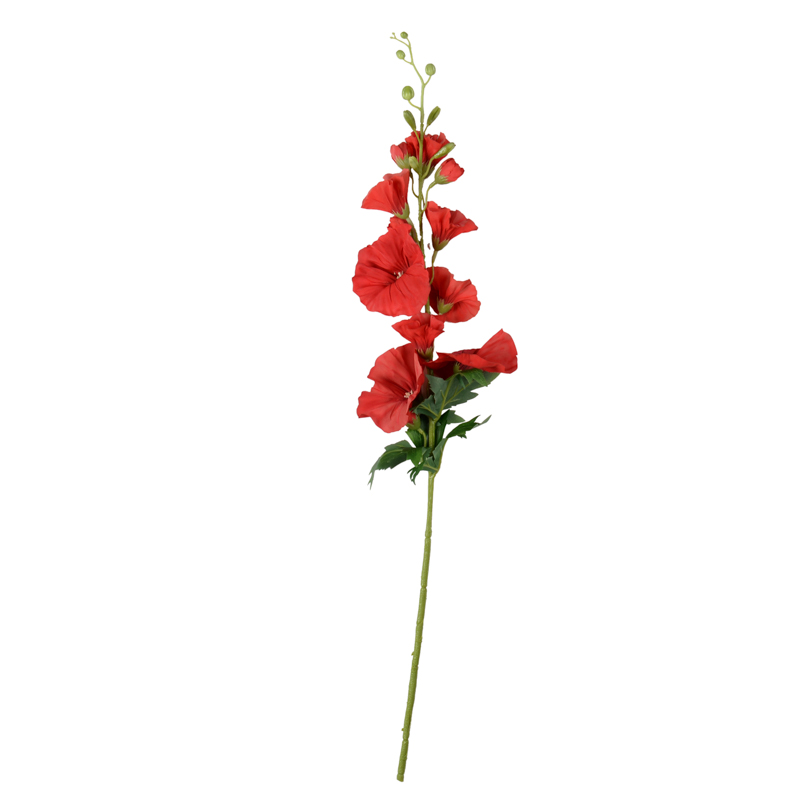 Tige de rose trémière