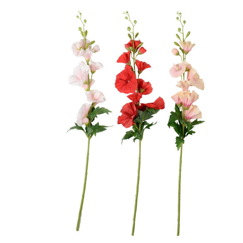 Tige de rose trémière