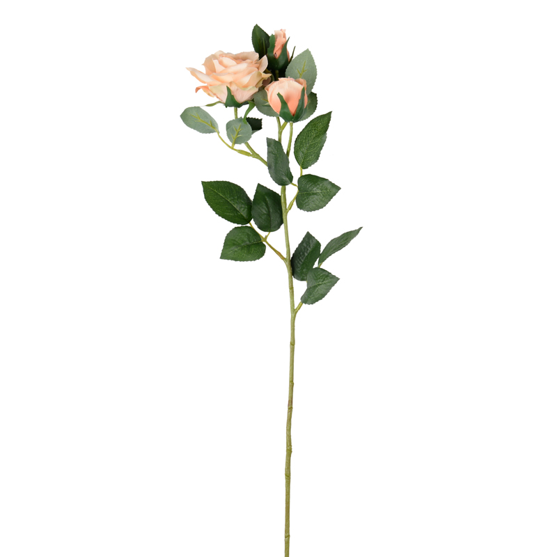 Branche de roses