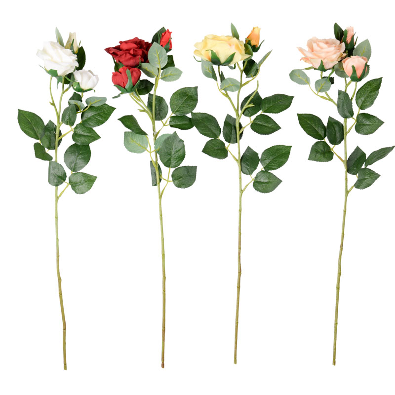 Branche de roses