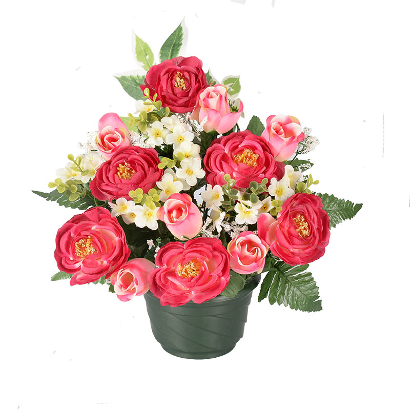 Potée renoncules et roses