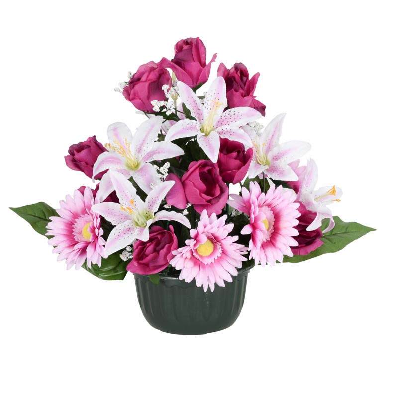 Coupe de roses