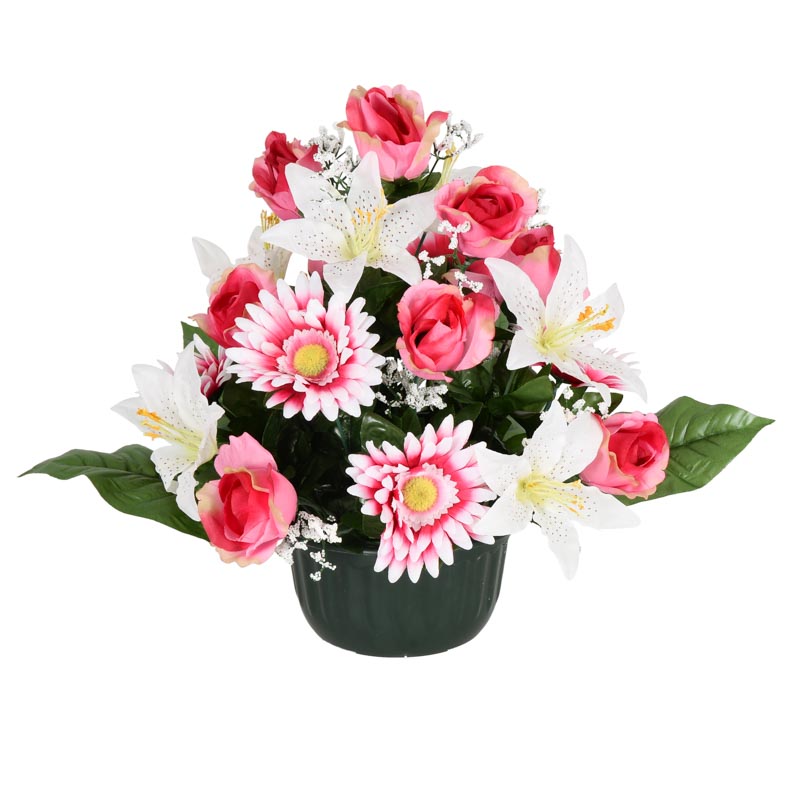 Coupe de roses