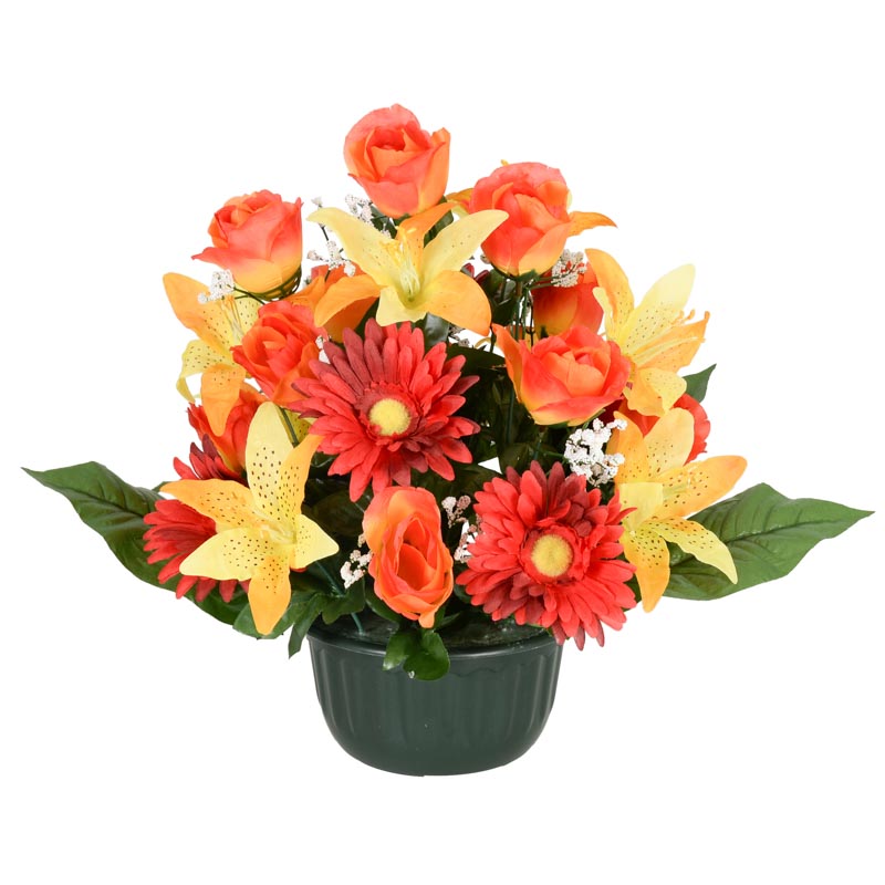 Coupe de roses