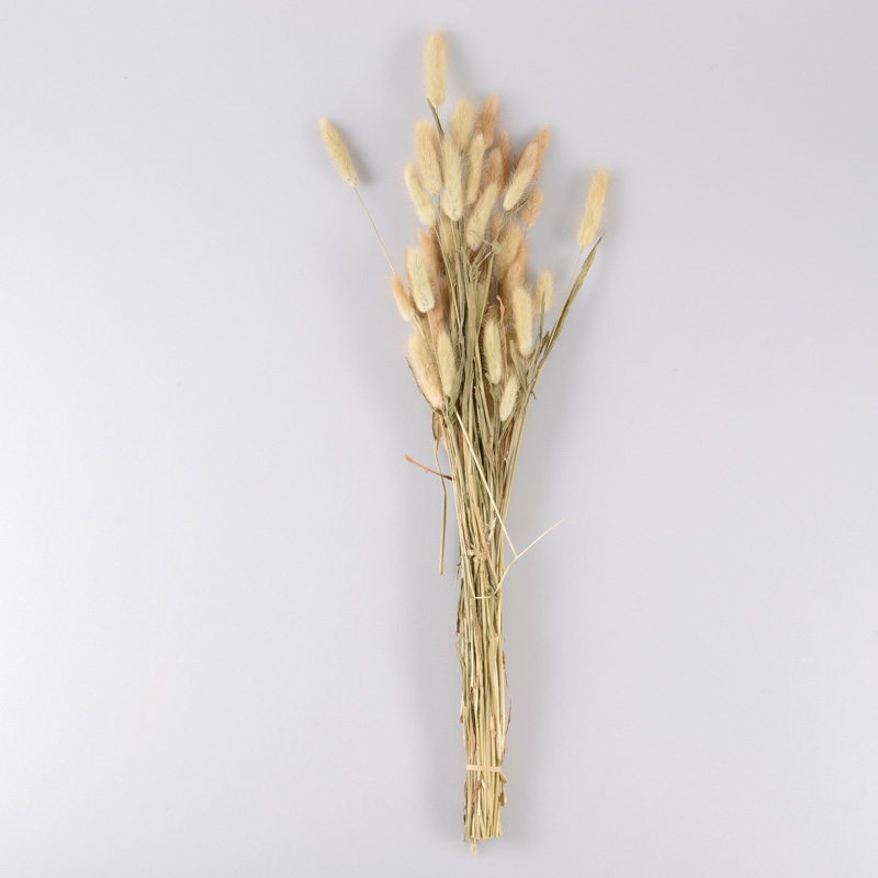Bouquet de lagures