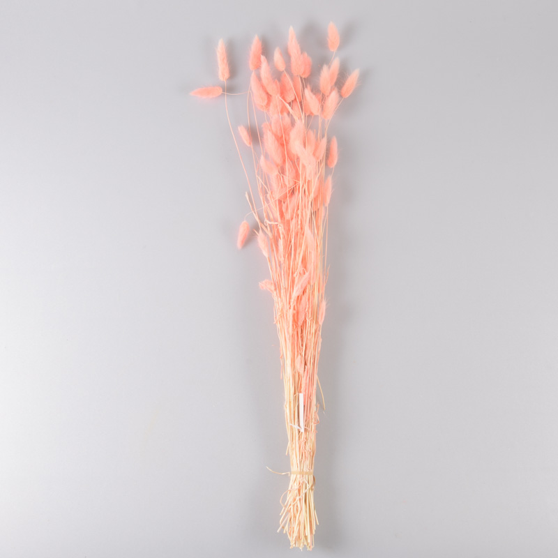 Bouquet de lagures