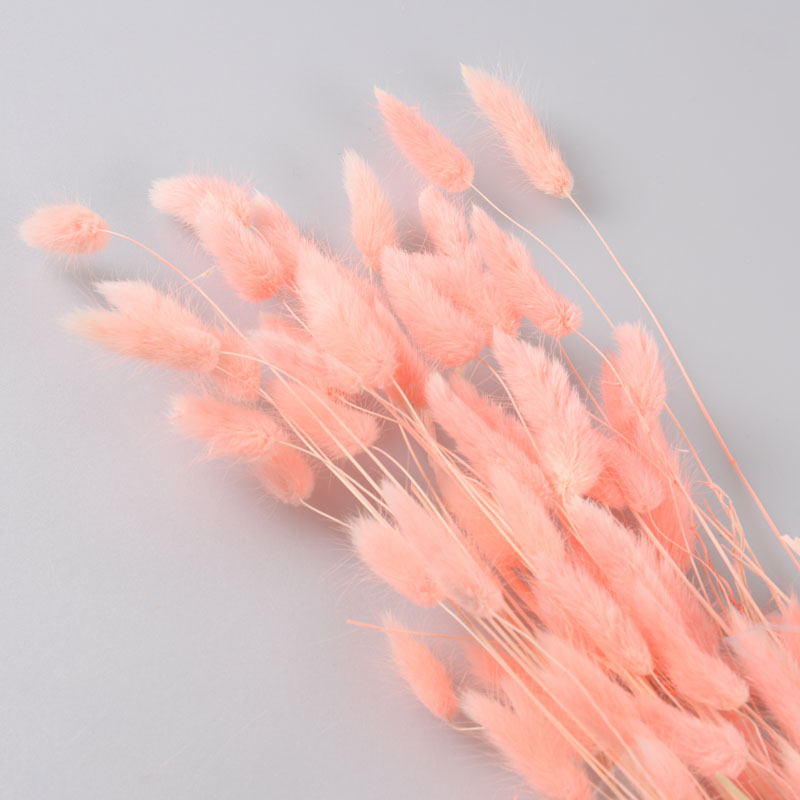 Bouquet de lagures