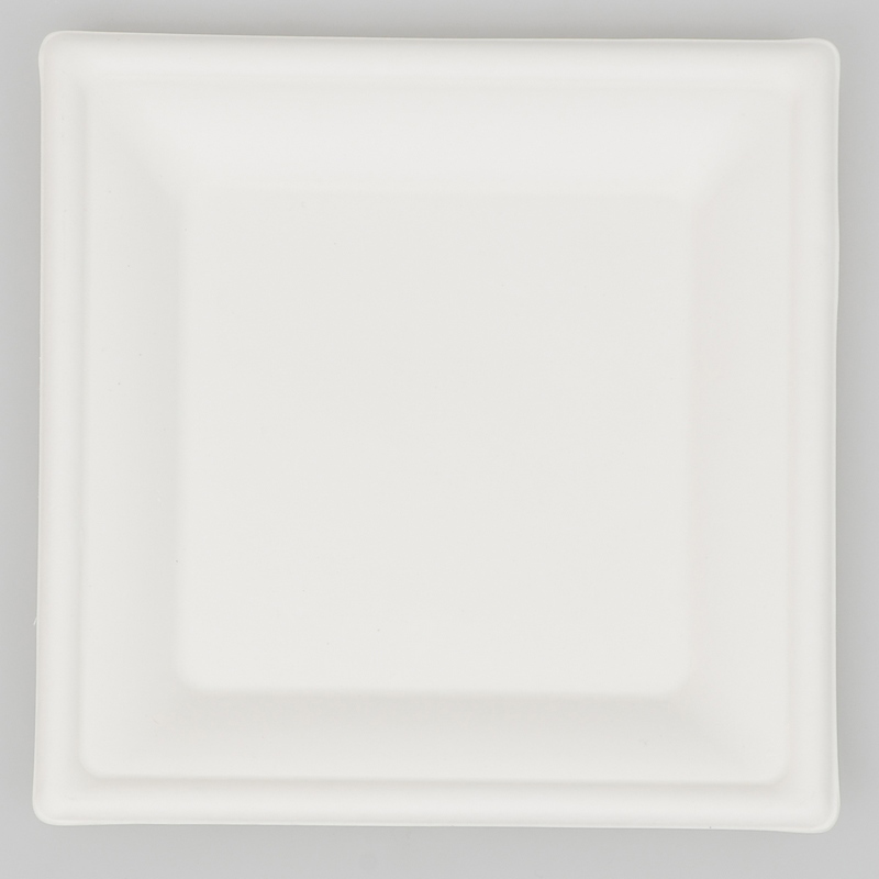 6 assiettes carrées