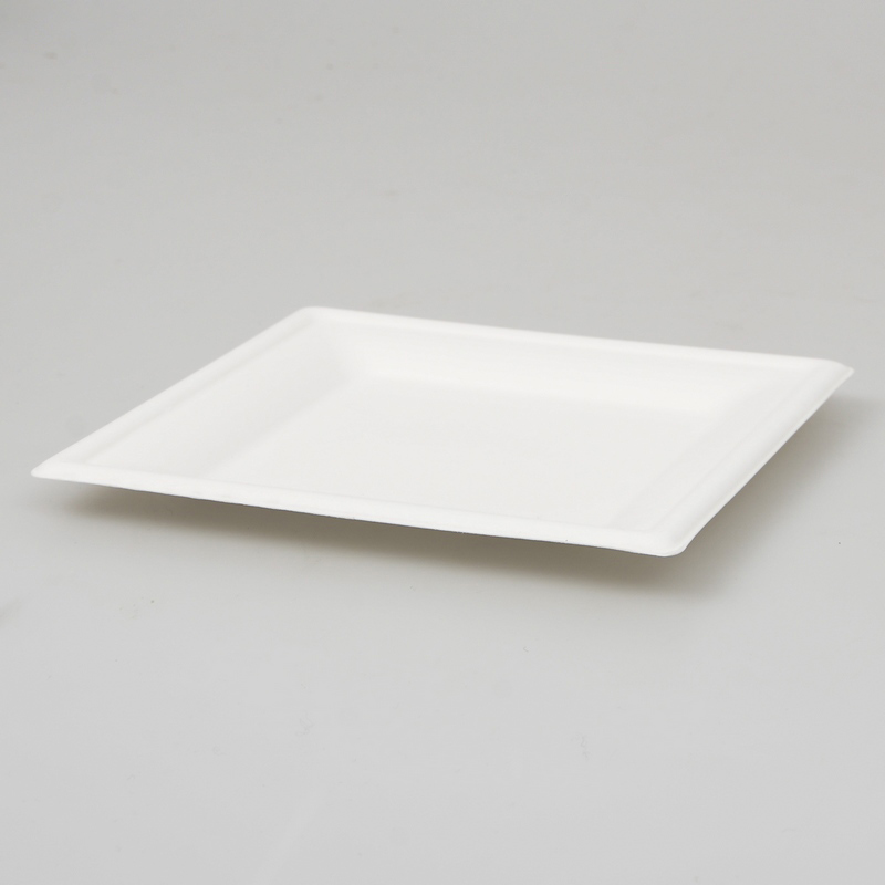6 assiettes carrées