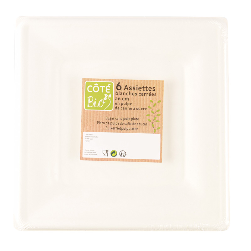 6 assiettes carrées