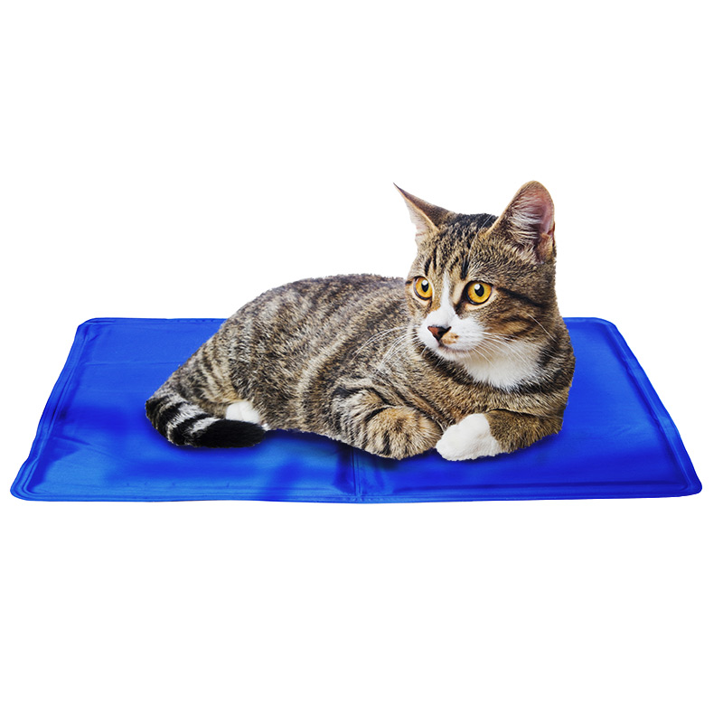 Coussin rafraîchissant pour animaux