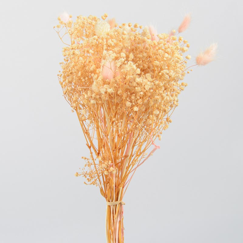 Bouquet de fleurs séchées