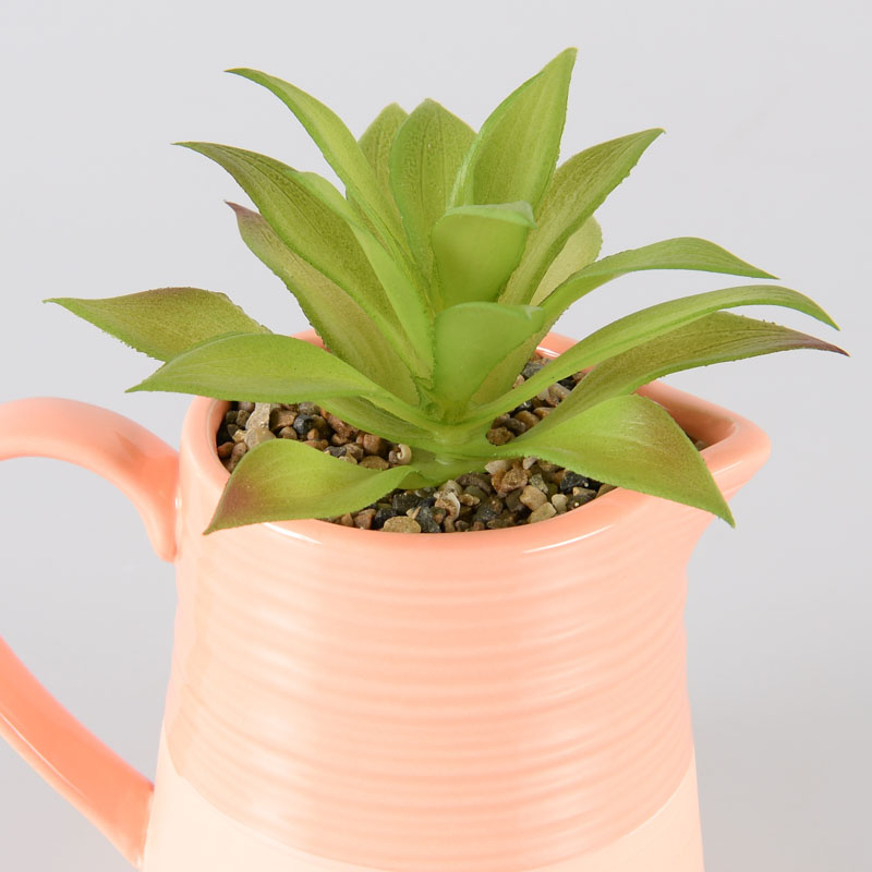 Carafe en céramique avec succulente 