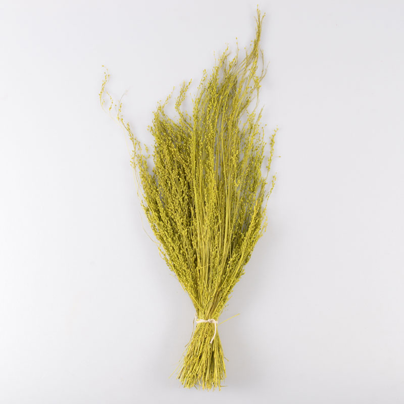 Bouquet 'Star Grass' vert