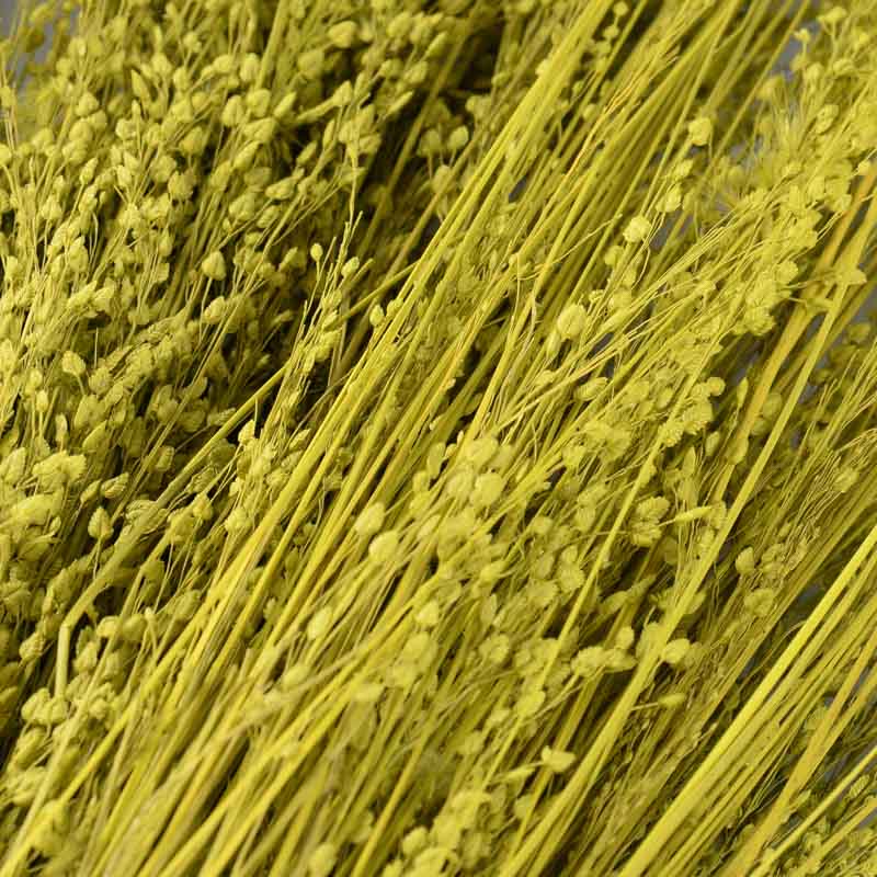 Bouquet 'Star Grass' vert