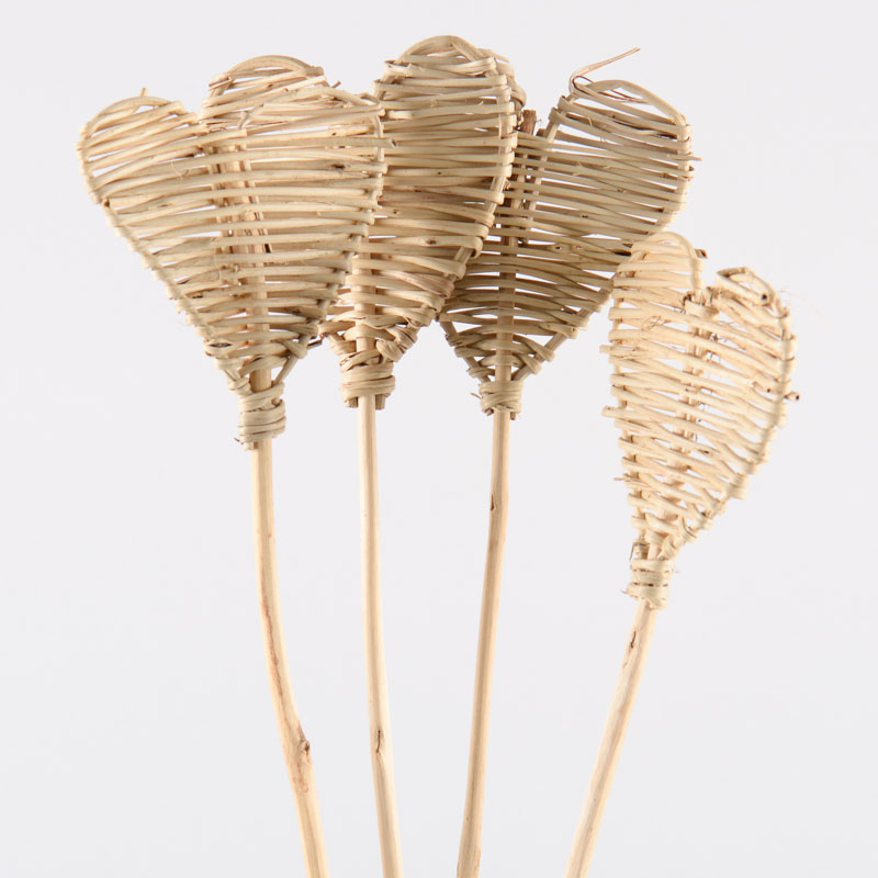 4 tiges 'Coeurs'