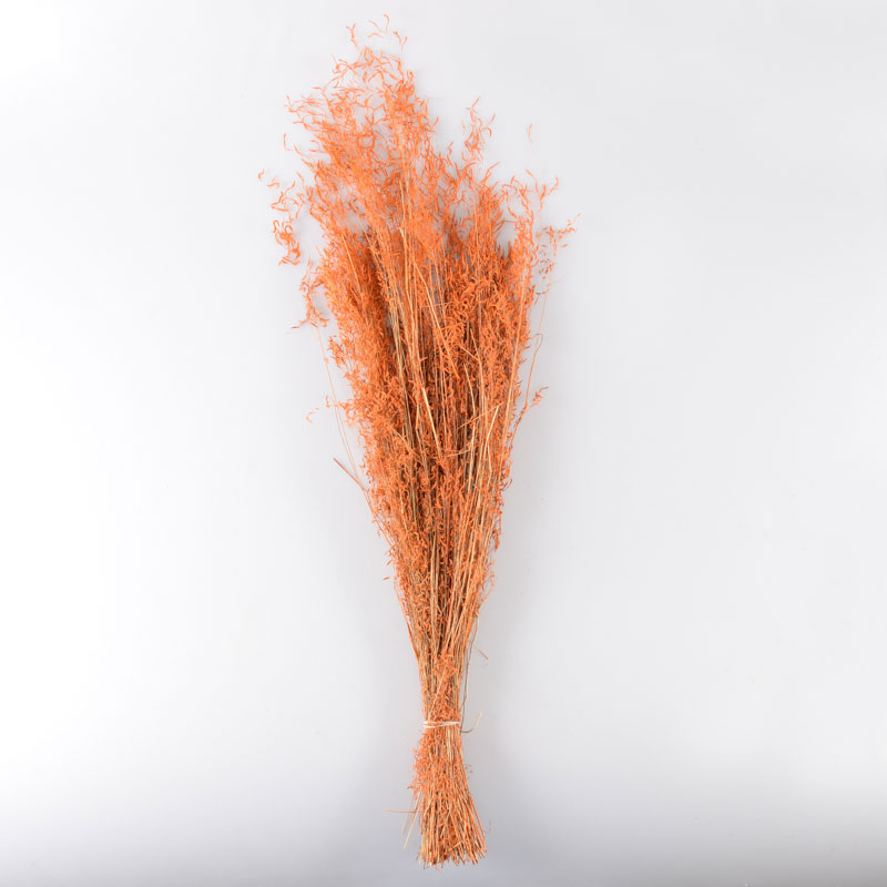 Bouquet 'Munny' orange