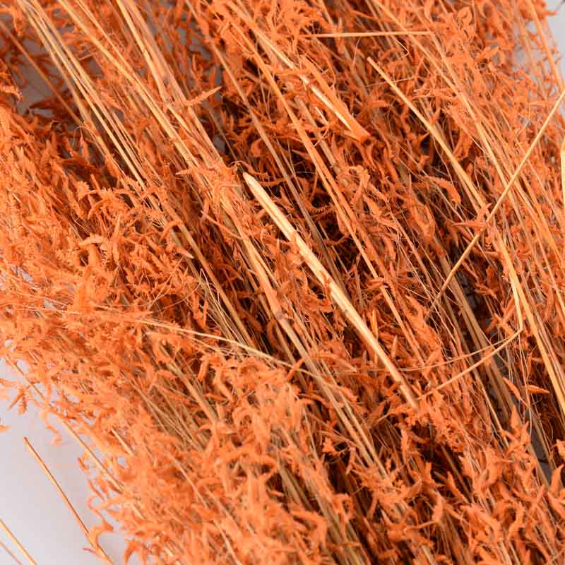 Bouquet 'Munny' orange