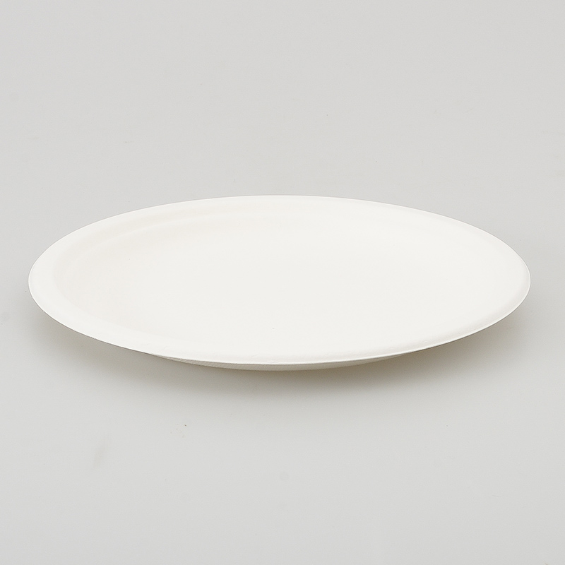 6 assiettes rondes