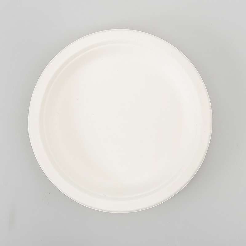 6 assiettes rondes
