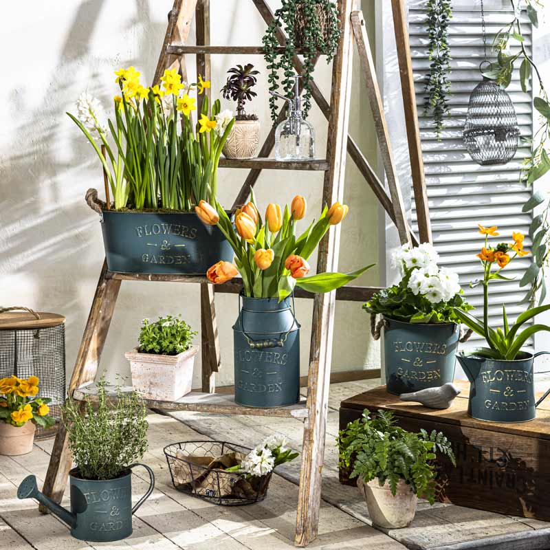 Cache pot 'Flowers Garden' bleu