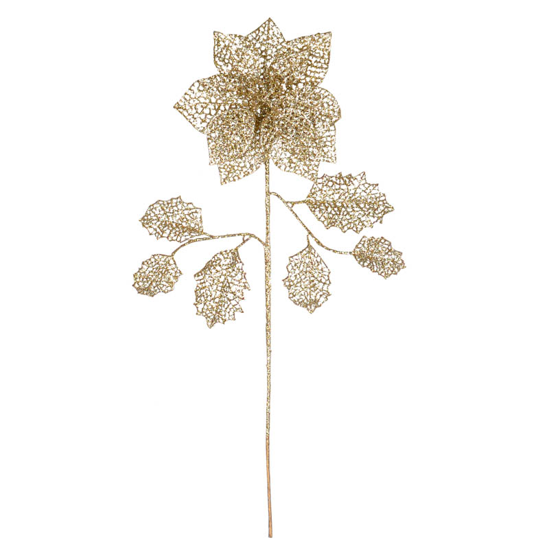 Poinsettia 'Mille éclats' brillant doré