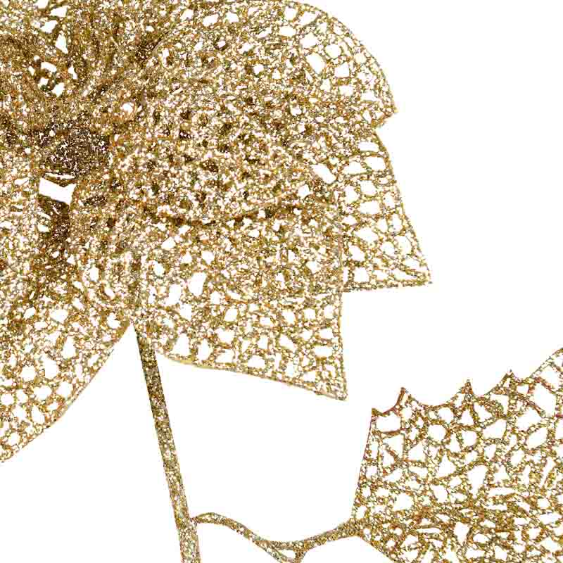 Poinsettia 'Mille éclats' brillant doré