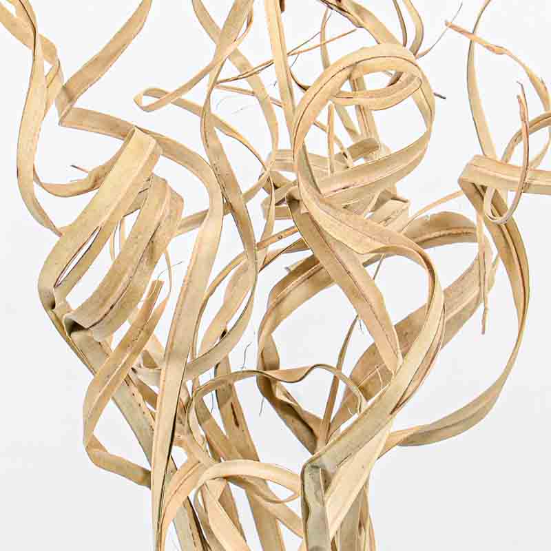 Branchage 'Ting Ting' beige