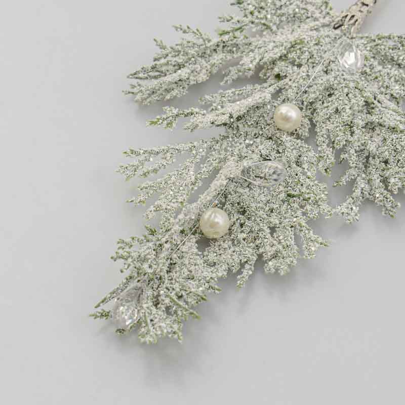 Branche de sapin 
