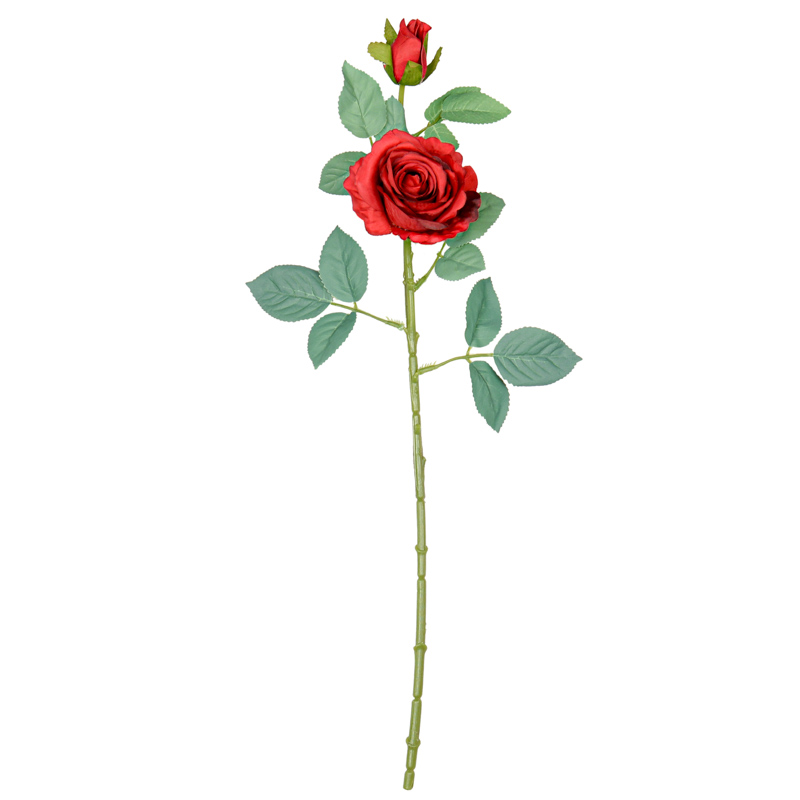 Tige de rose avec bouton rouge