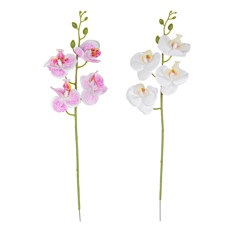 Tige d'orchidée