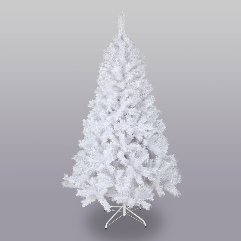 Sapin blanc 650 branches