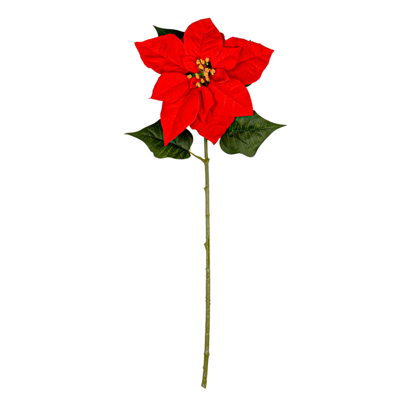 Tige Poinsettia rouge