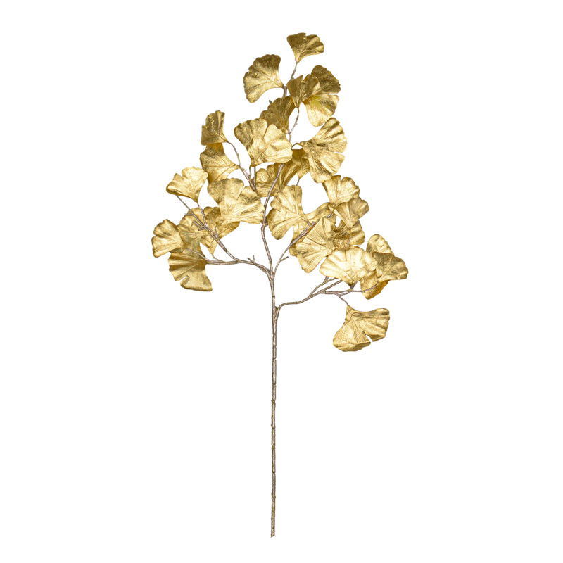 Branche 'Gincko' or