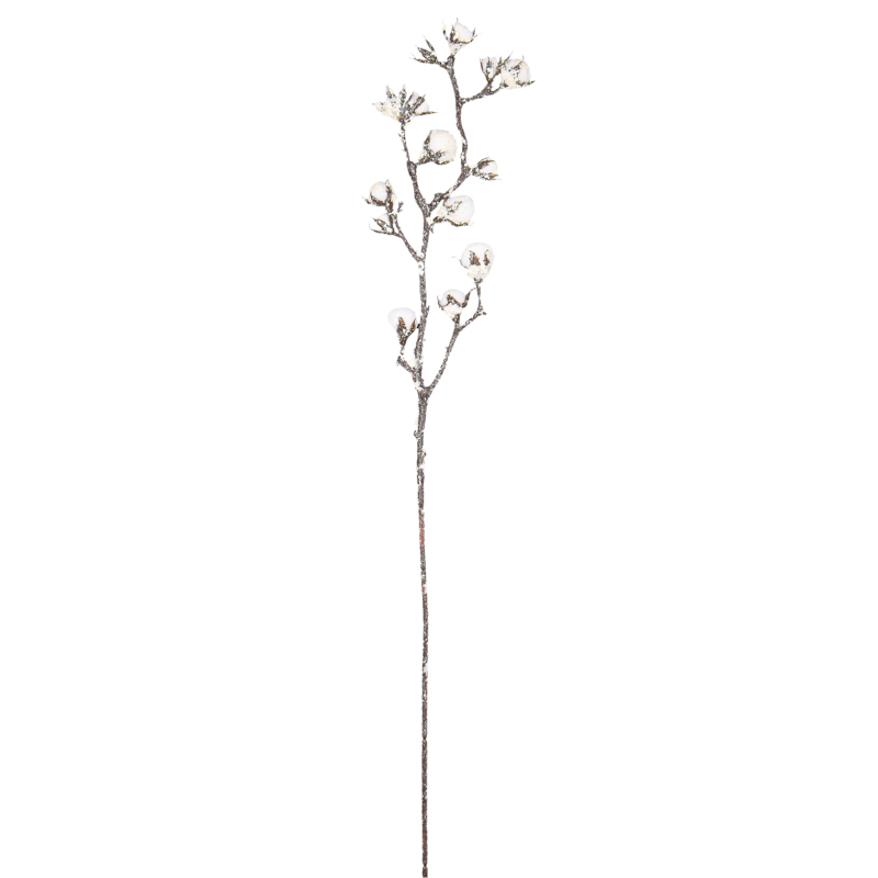 Tige de fleurs de coton blanche