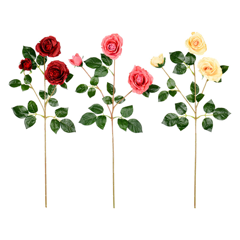 Branche de rose et rose bouton 