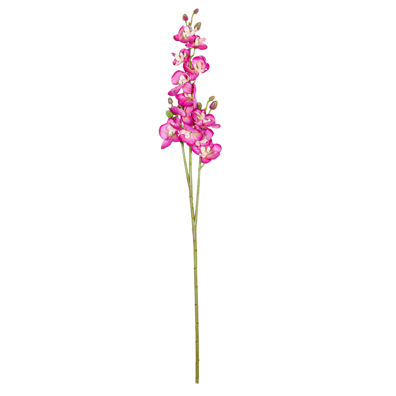 Branche 'Orchidée Papillon'
