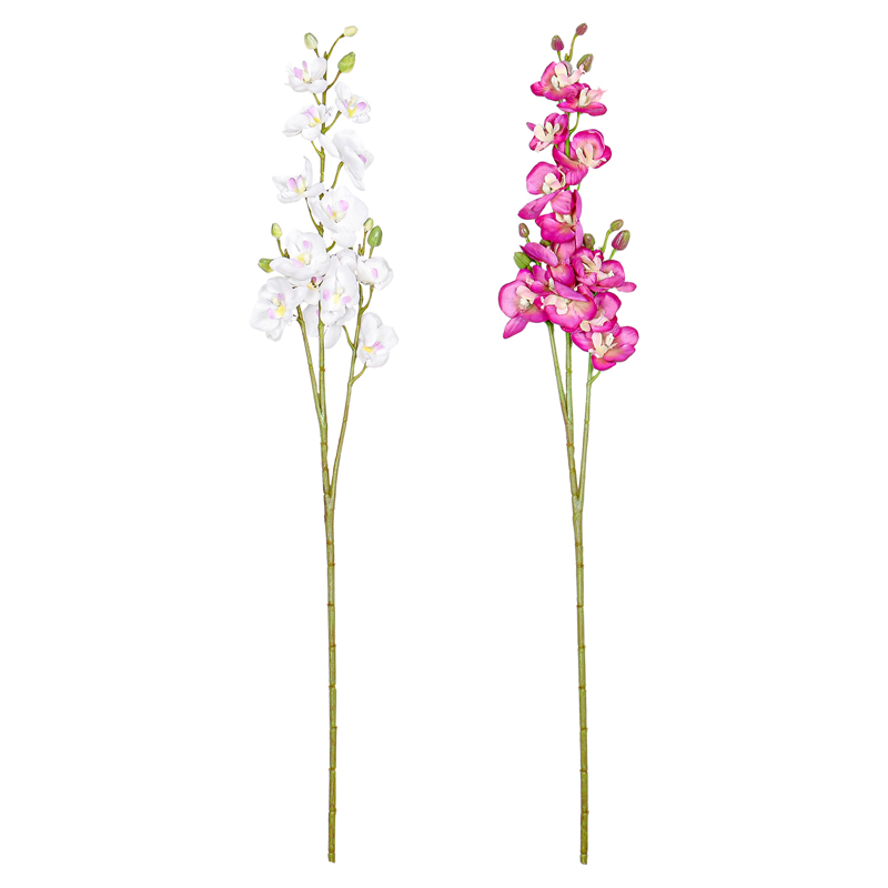 Branche 'Orchidée Papillon'