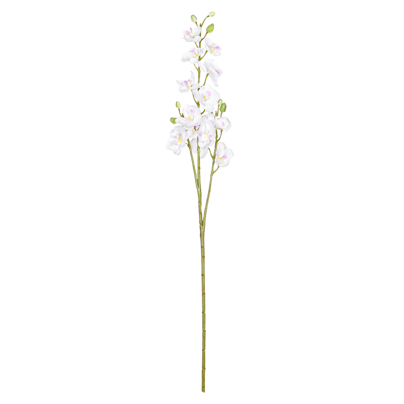 Branche 'Orchidée Papillon'
