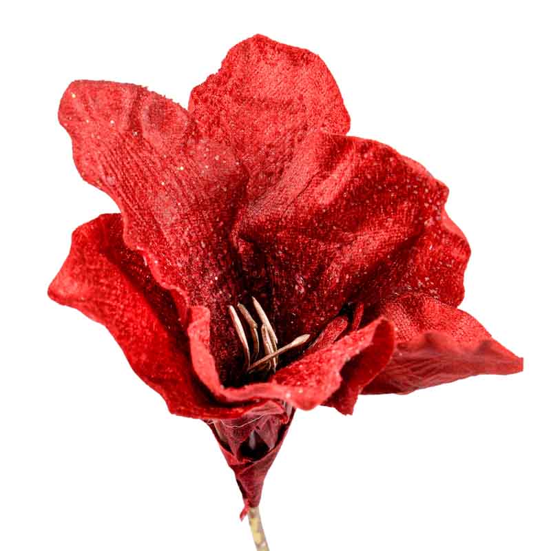 Tige 'Amaryllis' velours rouge