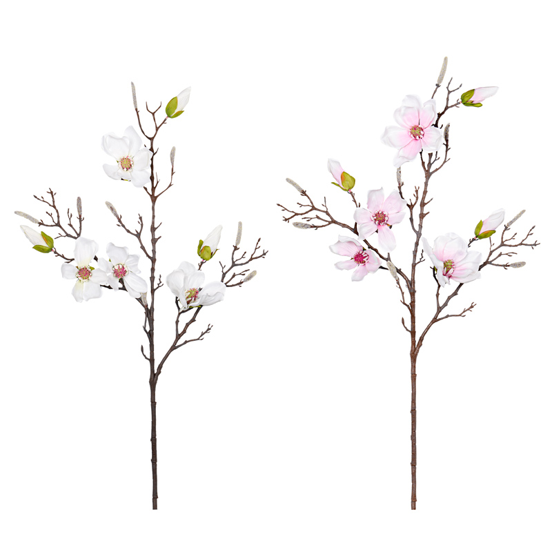 Tige de magnolia géante