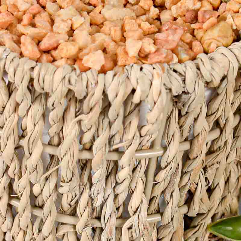 Plante artificielle tombante dans pot
