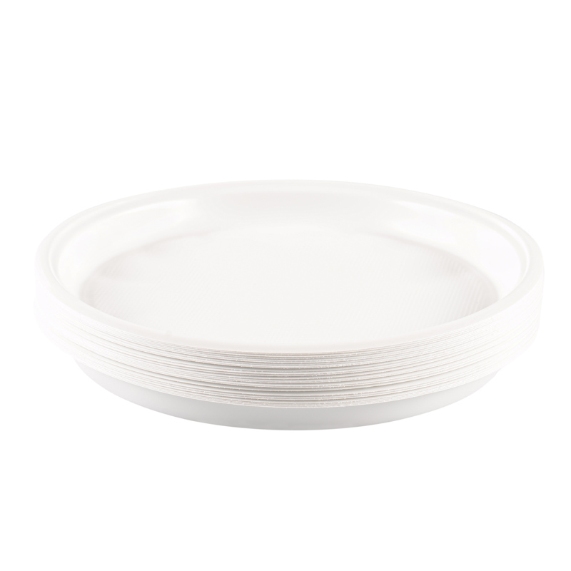 Lot de 25 assiettes plates réutilisables