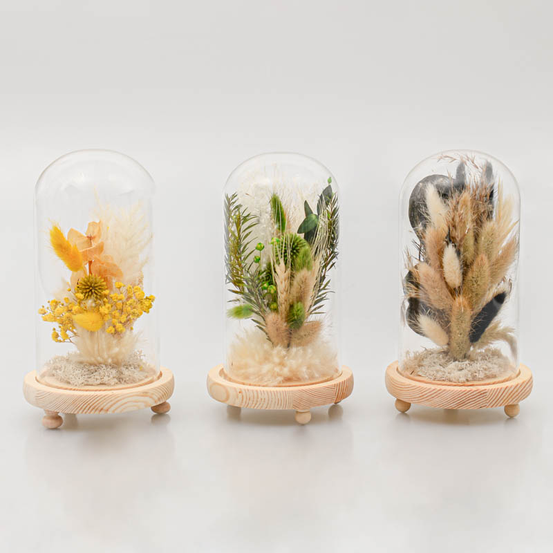 Fleurs séchées sous globe