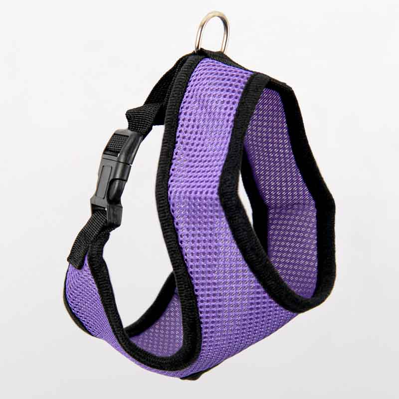 Harnais pour chien